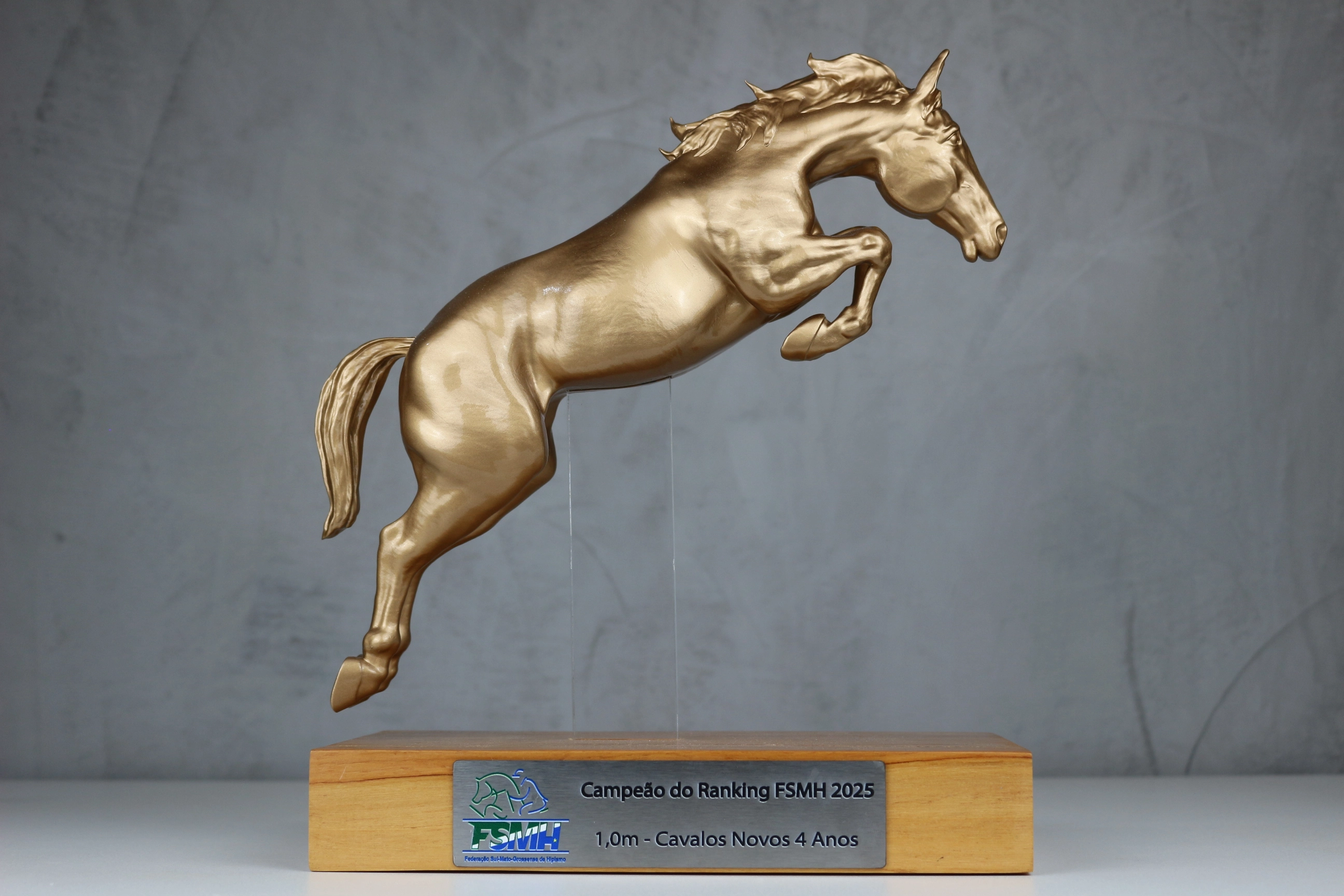 Troféu Hipismo